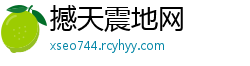 撼天震地网